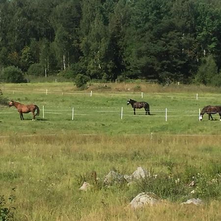 Willa Egen Laegenhet I 2-Familjshus Pa Landet. Tierp Zewnętrze zdjęcie