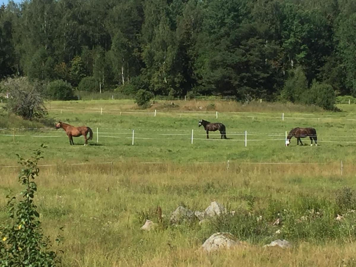 Willa Egen Laegenhet I 2-Familjshus Pa Landet. Tierp Zewnętrze zdjęcie